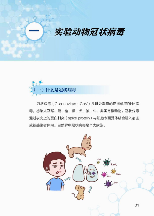 20200713--图书首页前言目录第一章内容--实验动物从业人员防护指南_页面_08.jpg