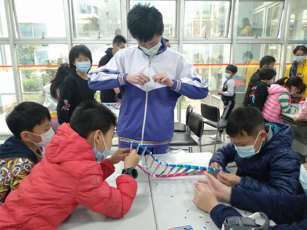 3-合作搭建DNA模型.JPG