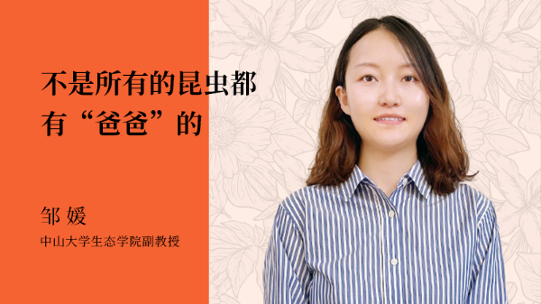 图片6 邹媛 &times; 昆虫基因.png